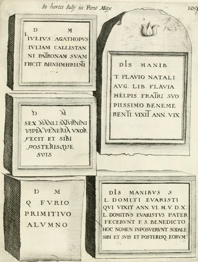 An illustration from I.[-VI.] pars Romanae vrbis topographiae & antiquitatum, quâ succinctê & breviter describuntur omnia quae tam publicê quam privatim videntur anim-adversione digna:, 1597, leaf 804