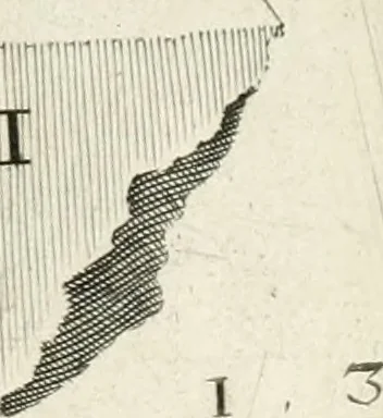 An illustration from I.[-VI.] pars Romanae vrbis topographiae & antiquitatum, quâ succinctê & breviter describuntur omnia quae tam publicê quam privatim videntur anim-adversione digna:, 1597, leaf 84