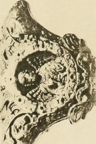 An illustration from Catalogue of the ivory carvings of the Christian era with examples of Mohammedan art and carvings in bone in the Department of British and Mediaeval Antiquities and Ethnography of the British Museum, 1909, leaf 316