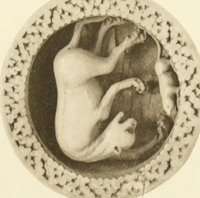 An illustration from Catalogue of the ivory carvings of the Christian era with examples of Mohammedan art and carvings in bone in the Department of British and Mediaeval Antiquities and Ethnography of the British Museum, 1909, leaf 348