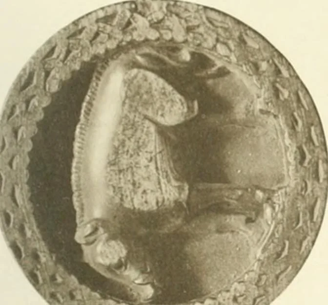 An illustration from Catalogue of the ivory carvings of the Christian era with examples of Mohammedan art and carvings in bone in the Department of British and Mediaeval Antiquities and Ethnography of the British Museum, 1909, leaf 350