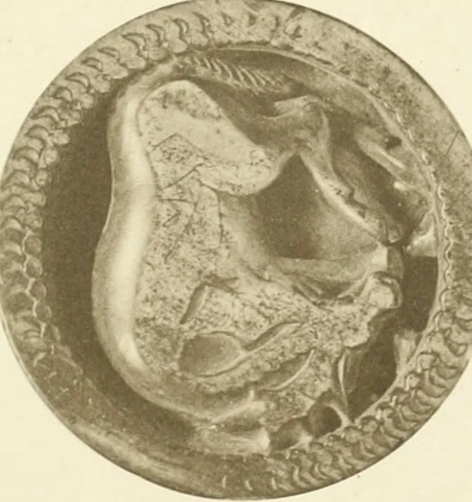 An illustration from Catalogue of the ivory carvings of the Christian era with examples of Mohammedan art and carvings in bone in the Department of British and Mediaeval Antiquities and Ethnography of the British Museum, 1909, leaf 350