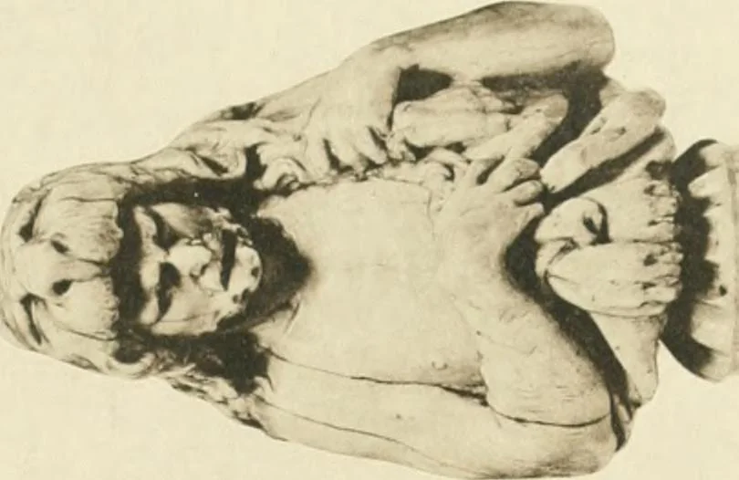 An illustration from Catalogue of the ivory carvings of the Christian era with examples of Mohammedan art and carvings in bone in the Department of British and Mediaeval Antiquities and Ethnography of the British Museum, 1909, leaf 464