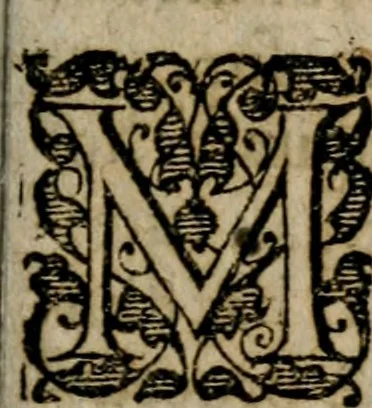 An illustration from Ivsti Calvini Veteracastrensis Pro Sacrosancta Catholica Romana Ecclesia, proqvesva ad eam transmigratione apologia ... Accessit Epistolarvm Catholicarvm eivsdem volvmen vnvm .., 1602, leaf 154