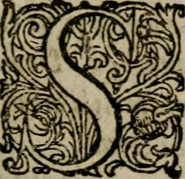 An illustration from Ivsti Calvini Veteracastrensis Pro Sacrosancta Catholica Romana Ecclesia, proqvesva ad eam transmigratione apologia ... Accessit Epistolarvm Catholicarvm eivsdem volvmen vnvm .., 1602, leaf 24
