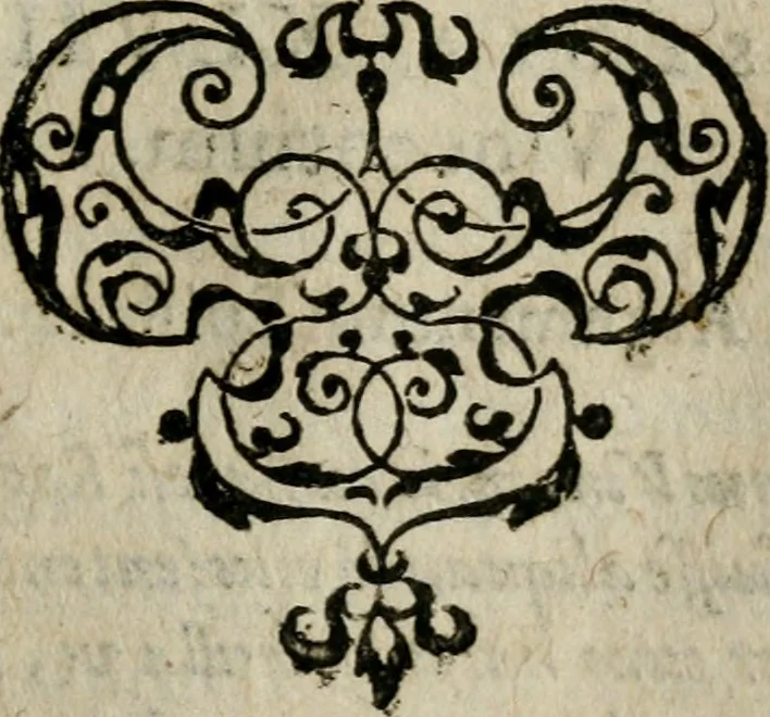 An illustration from Ivsti Calvini Veteracastrensis Pro Sacrosancta Catholica Romana Ecclesia, proqvesva ad eam transmigratione apologia ... Accessit Epistolarvm Catholicarvm eivsdem volvmen vnvm .., 1602, leaf 242
