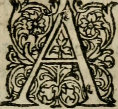 An illustration from Ivsti Calvini Veteracastrensis Pro Sacrosancta Catholica Romana Ecclesia, proqvesva ad eam transmigratione apologia ... Accessit Epistolarvm Catholicarvm eivsdem volvmen vnvm .., 1602, leaf 244