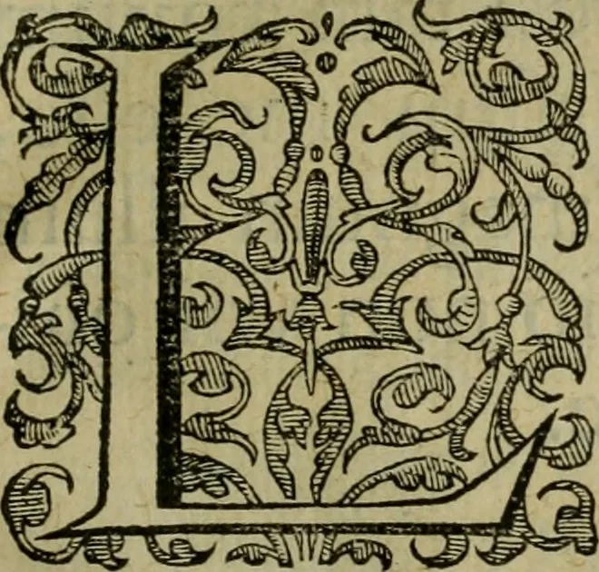 An illustration from Ivsti LipsI De constantia libri dvo : qui alloquium præciperuè continent in publicis malis, 1584, leaf 10