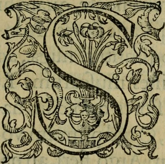 An illustration from Ivsti LipsI De constantia libri dvo : qui alloquium præciperuè continent in publicis malis, 1584, leaf 98