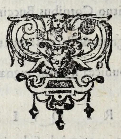 An illustration from Ivsti LipsI De militia romana libri qvinqve : commentarivs ad Polybivm, e parte primâ Historicae facis, 1595, leaf 22