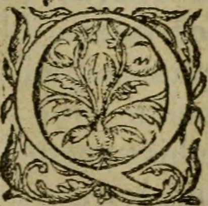 An illustration from Ivsti Lipsi Monita et exempla politica : libri dvo, qui virtvtes et vitia principum spectant, 1605, leaf 102