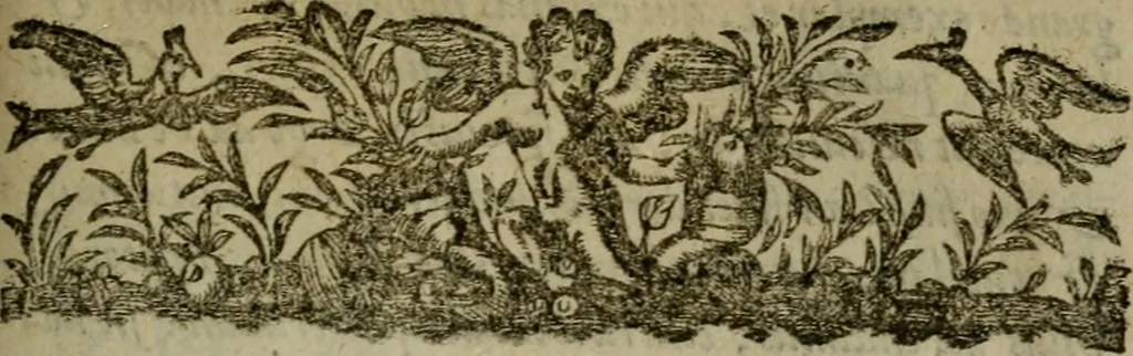 An illustration from Ivsti Lipsi Monita et exempla politica : libri dvo, qui virtvtes et vitia principum spectant, 1605, leaf 4