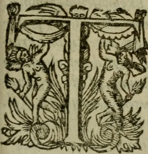 An illustration from Ivsti Lipsi Monita et exempla politica : libri dvo, qui virtvtes et vitia principum spectant, 1605, leaf 4