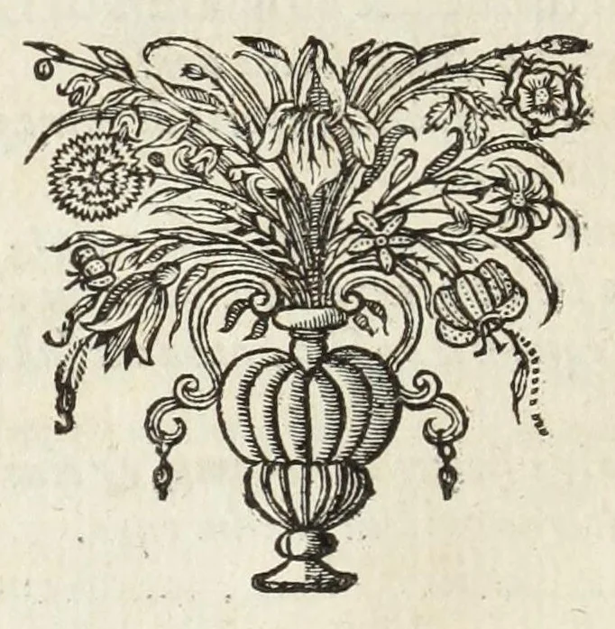An illustration from Ivusti LipsI De militia Romana libri qvinqve : commentarivs ad Polybium, 1630, leaf 156