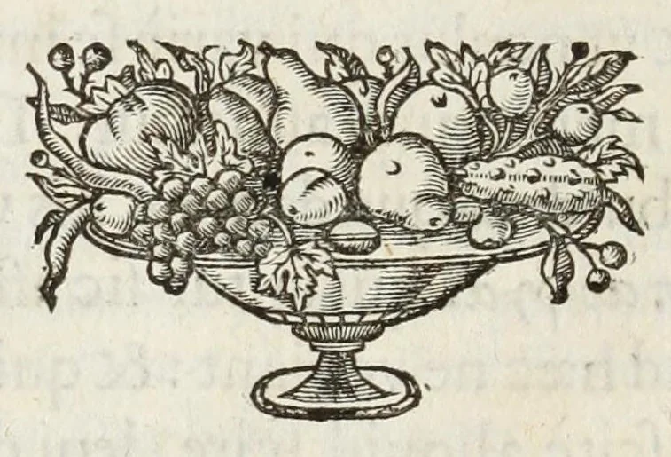An illustration from Ivusti LipsI De militia Romana libri qvinqve : commentarivs ad Polybium, 1630, leaf 382