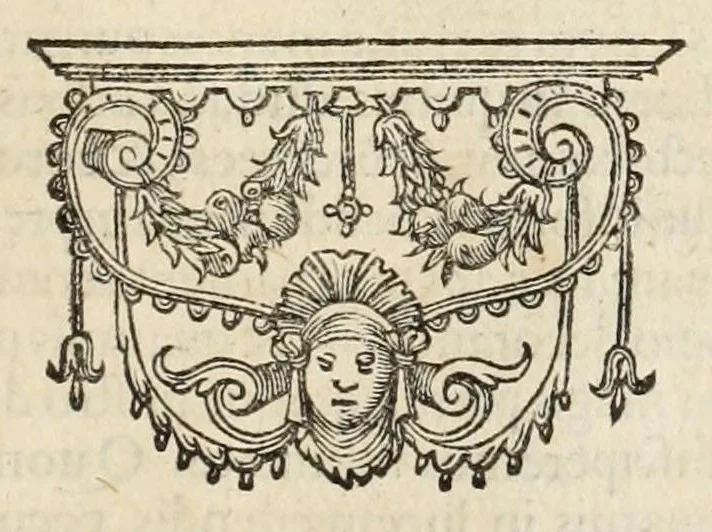 An illustration from Ivusti LipsI De militia Romana libri qvinqve : commentarivs ad Polybium, 1630, leaf 409