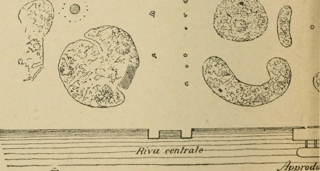 An illustration from IX esposizione internazionale d'arte della citta di Venezia, 1910 : catalogo, 1910, leaf 167