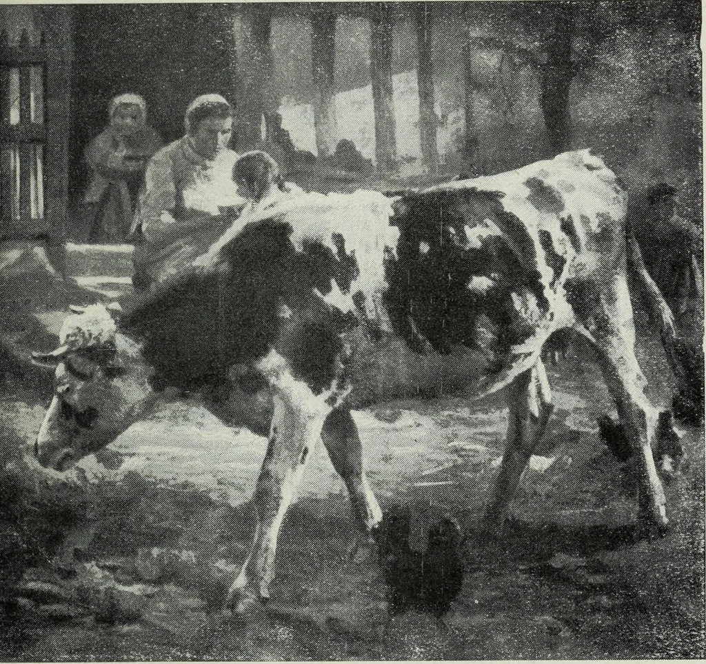 An illustration from IX esposizione internazionale d'arte della citta di Venezia, 1910 : catalogo, 1910, leaf 274