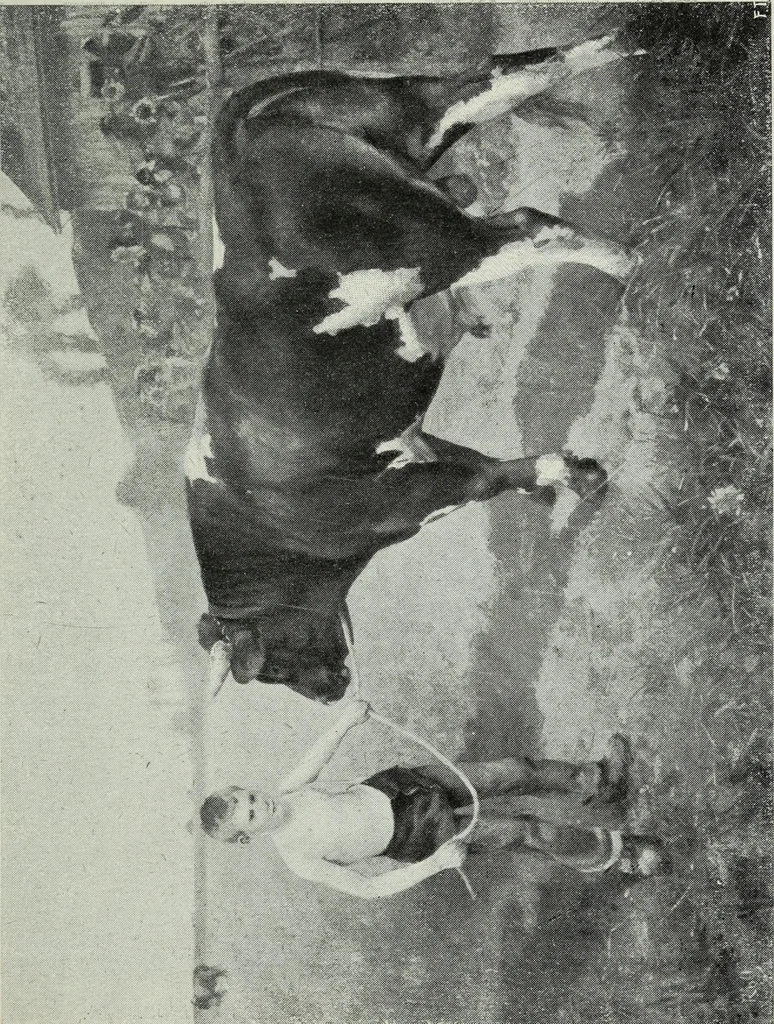 An illustration from IX esposizione internazionale d'arte della citta di Venezia, 1910 : catalogo, 1910, leaf 278