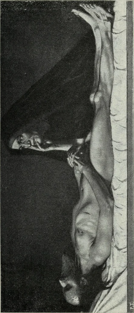 An illustration from IX esposizione internazionale d'arte della citta di Venezia, 1910 : catalogo, 1910, leaf 284