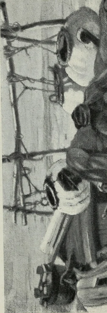An illustration from IX esposizione internazionale d'arte della citta di Venezia, 1910 : catalogo, 1910, leaf 289