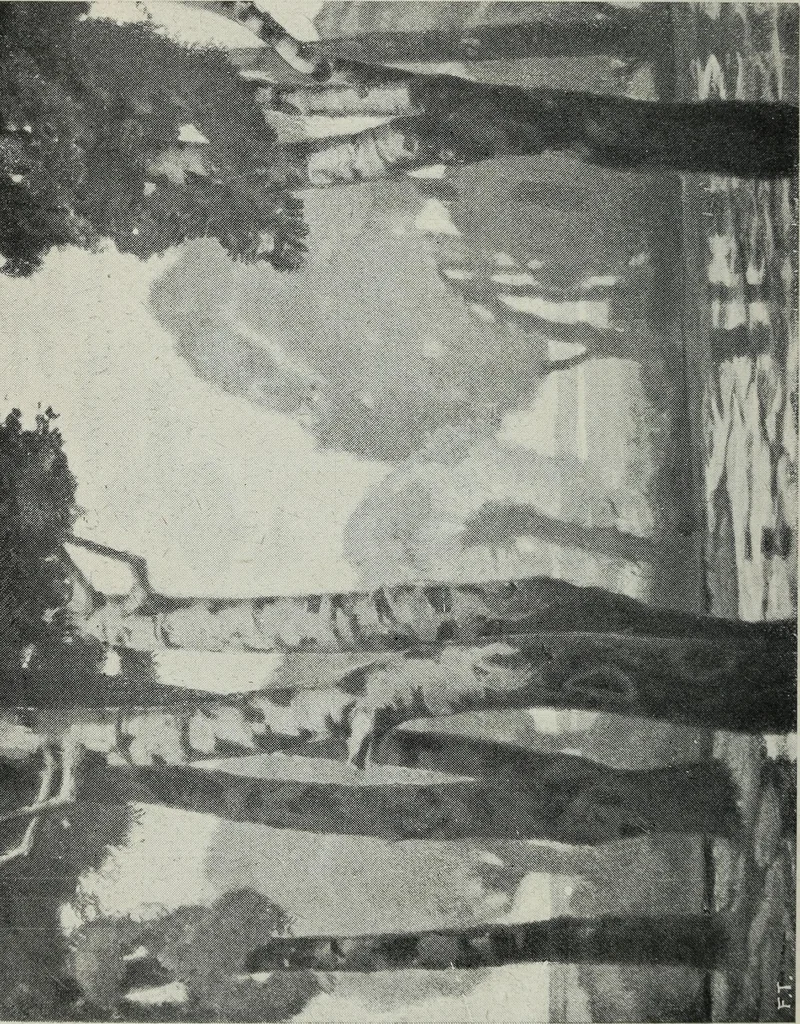 An illustration from IX esposizione internazionale d'arte della citta di Venezia, 1910 : catalogo, 1910, leaf 291