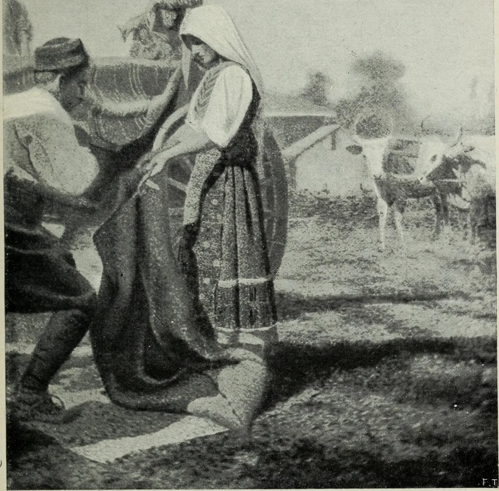 An illustration from IX esposizione internazionale d'arte della citta di Venezia, 1910 : catalogo, 1910, leaf 320