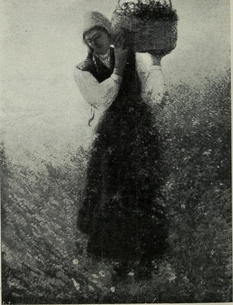 An illustration from IX esposizione internazionale d'arte della citta di Venezia, 1910 : catalogo, 1910, leaf 321