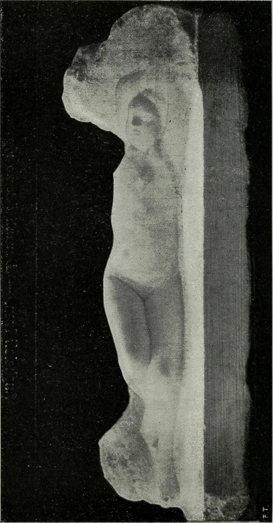 An illustration from IX esposizione internazionale d'arte della citta di Venezia, 1910 : catalogo, 1910, leaf 323