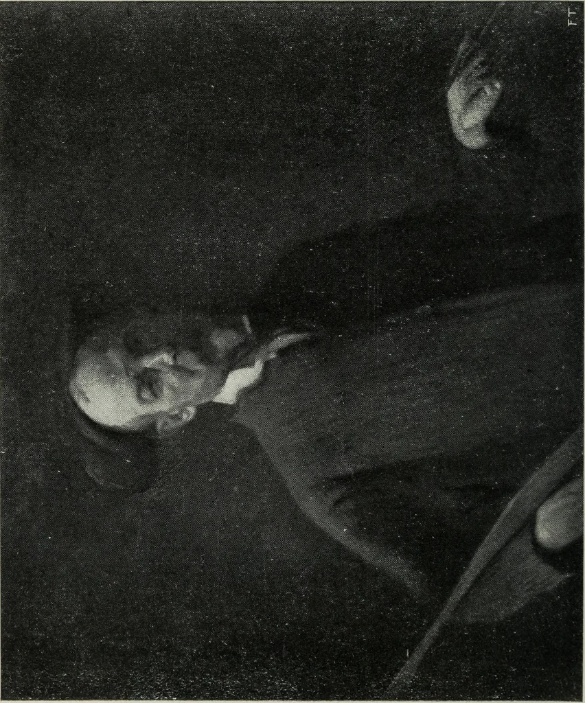 An illustration from IX esposizione internazionale d'arte della citta di Venezia, 1910 : catalogo, 1910, leaf 369