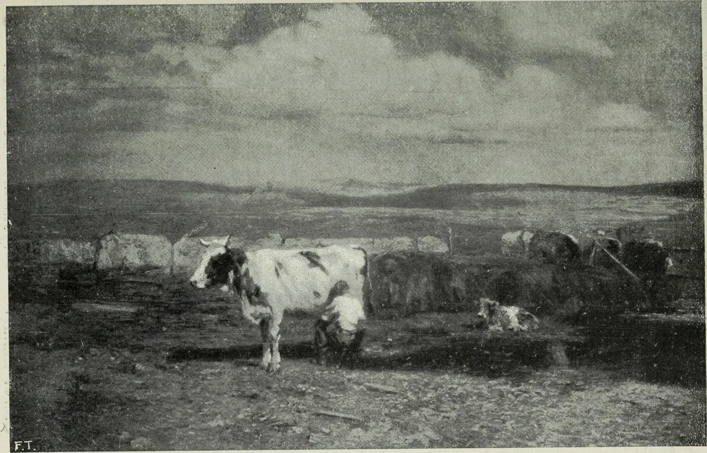 An illustration from IX esposizione internazionale d'arte della citta di Venezia, 1910 : catalogo, 1910, leaf 378