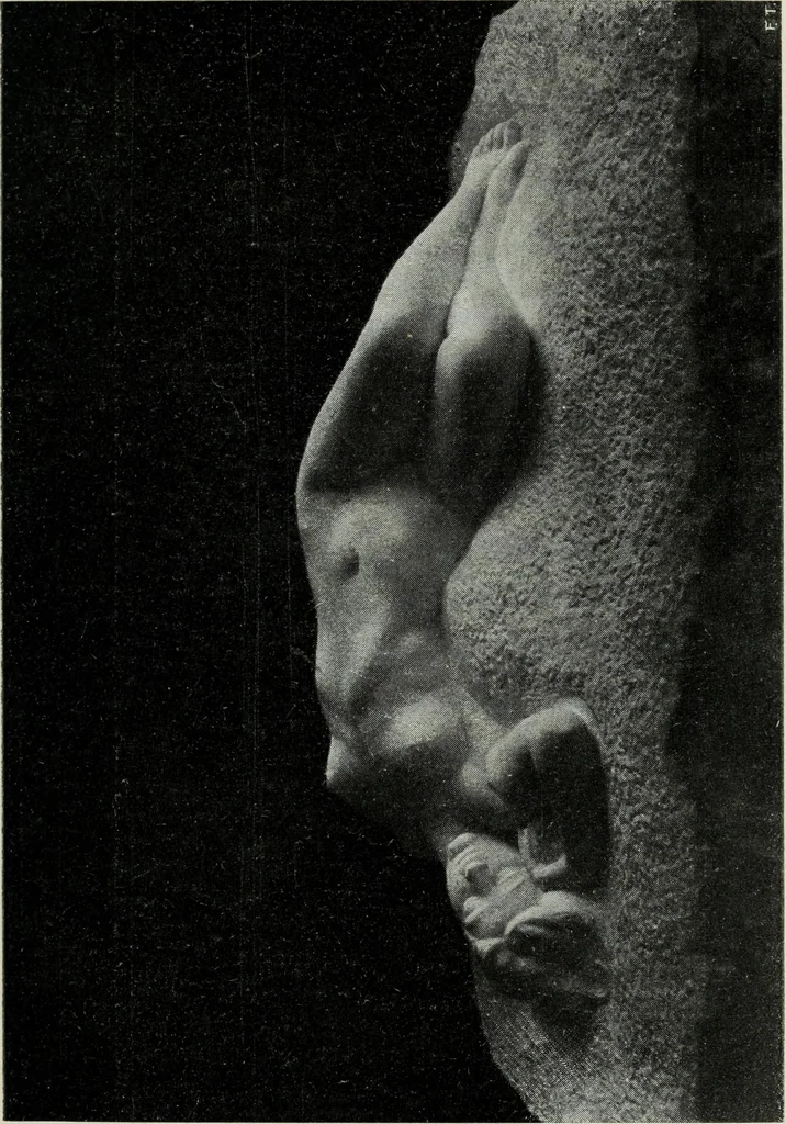 An illustration from IX esposizione internazionale d'arte della citta di Venezia, 1910 : catalogo, 1910, leaf 394