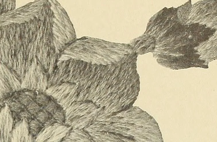 An illustration from Jacobean crewel work and traditional designs, 1900, leaf 32