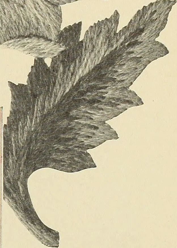 An illustration from Jacobean crewel work and traditional designs, 1900, leaf 32