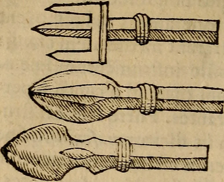An illustration from Jacobi BerengarI De fractura cranii liber aureus : hactenus desideratus, 1629, leaf 293