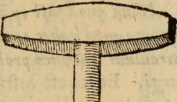 An illustration from Jacobi BerengarI De fractura cranii liber aureus : hactenus desideratus, 1629, leaf 294