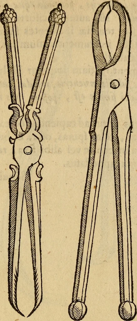An illustration from Jacobi BerengarI De fractura cranii liber aureus : hactenus desideratus, 1629, leaf 296
