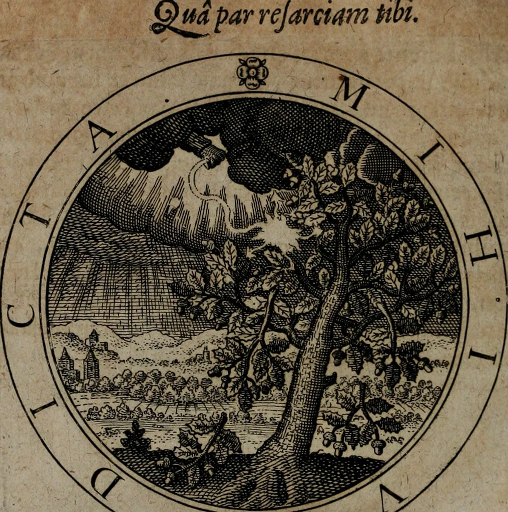An illustration from Jacobi Bornitii emblemata ethico politica : ingenuâ atque eruditâ interpretatione nunc primùm illustrata / per M. Nicolaum Meerfeldt..., 1669, leaf 113