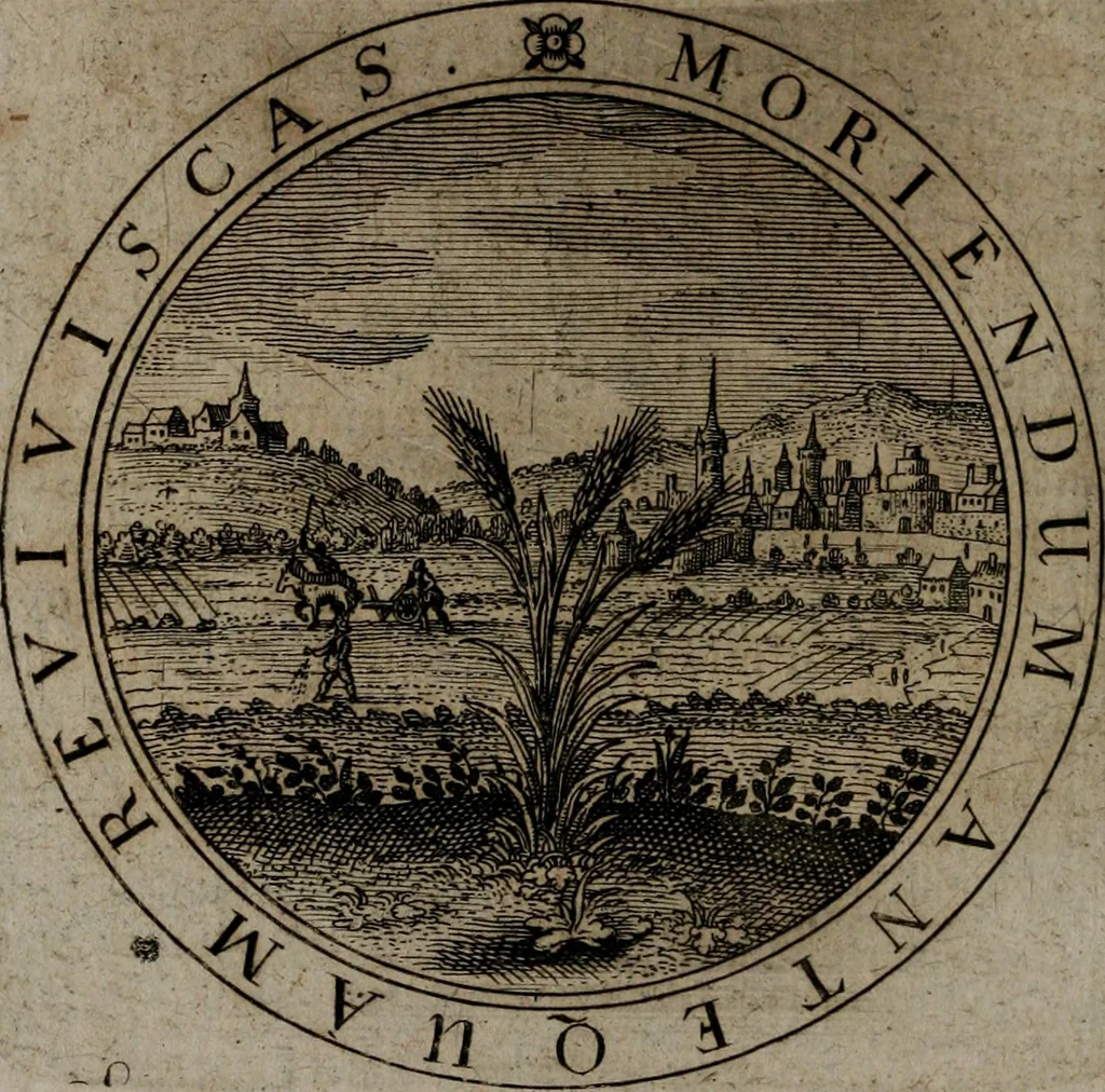 An illustration from Jacobi Bornitii emblemata ethico politica : ingenuâ atque eruditâ interpretatione nunc primùm illustrata / per M. Nicolaum Meerfeldt..., 1669, leaf 119