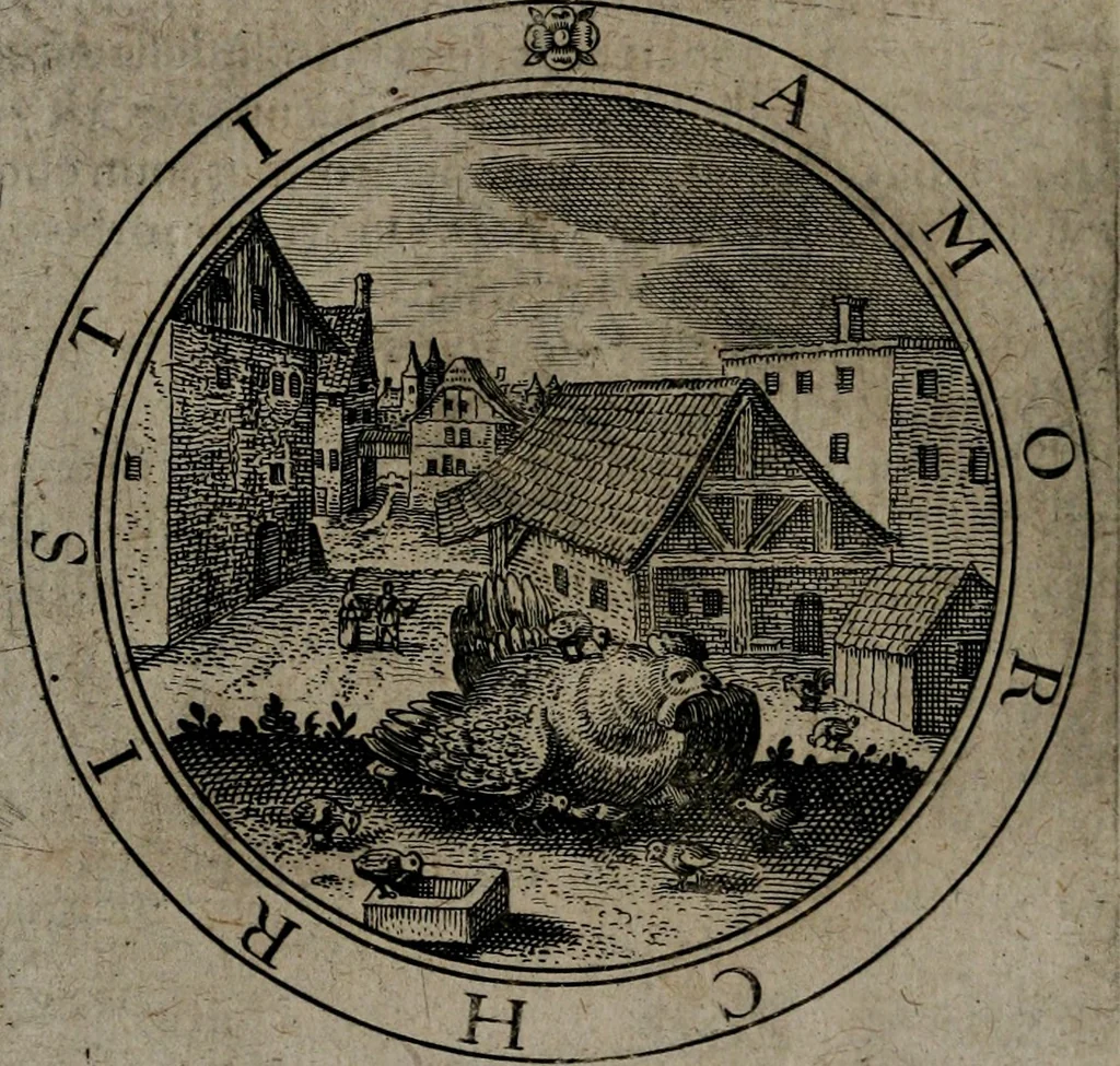 An illustration from Jacobi Bornitii emblemata ethico politica : ingenuâ atque eruditâ interpretatione nunc primùm illustrata / per M. Nicolaum Meerfeldt..., 1669, leaf 135