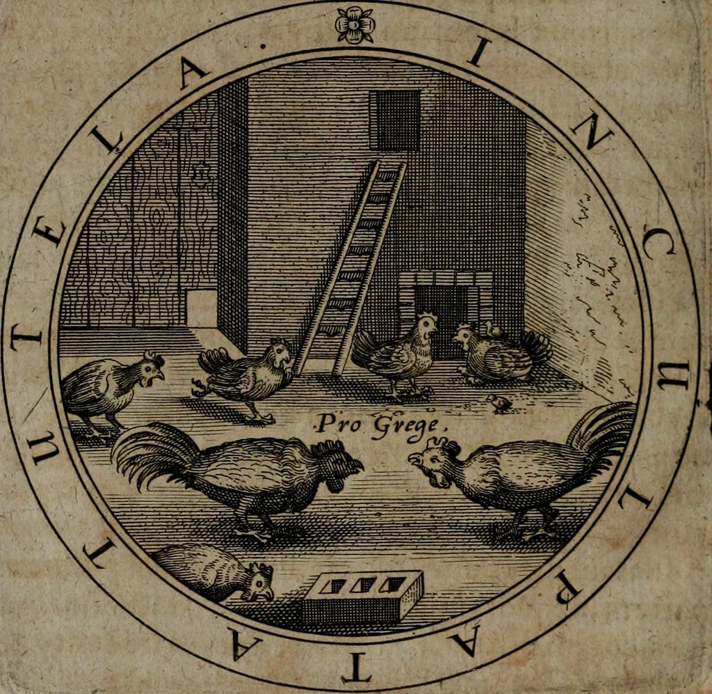 An illustration from Jacobi Bornitii emblemata ethico politica : ingenuâ atque eruditâ interpretatione nunc primùm illustrata / per M. Nicolaum Meerfeldt..., 1669, leaf 175
