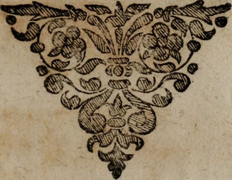 An illustration from Jacobi Bornitii emblemata ethico politica : ingenuâ atque eruditâ interpretatione nunc primùm illustrata / per M. Nicolaum Meerfeldt..., 1669, leaf 208