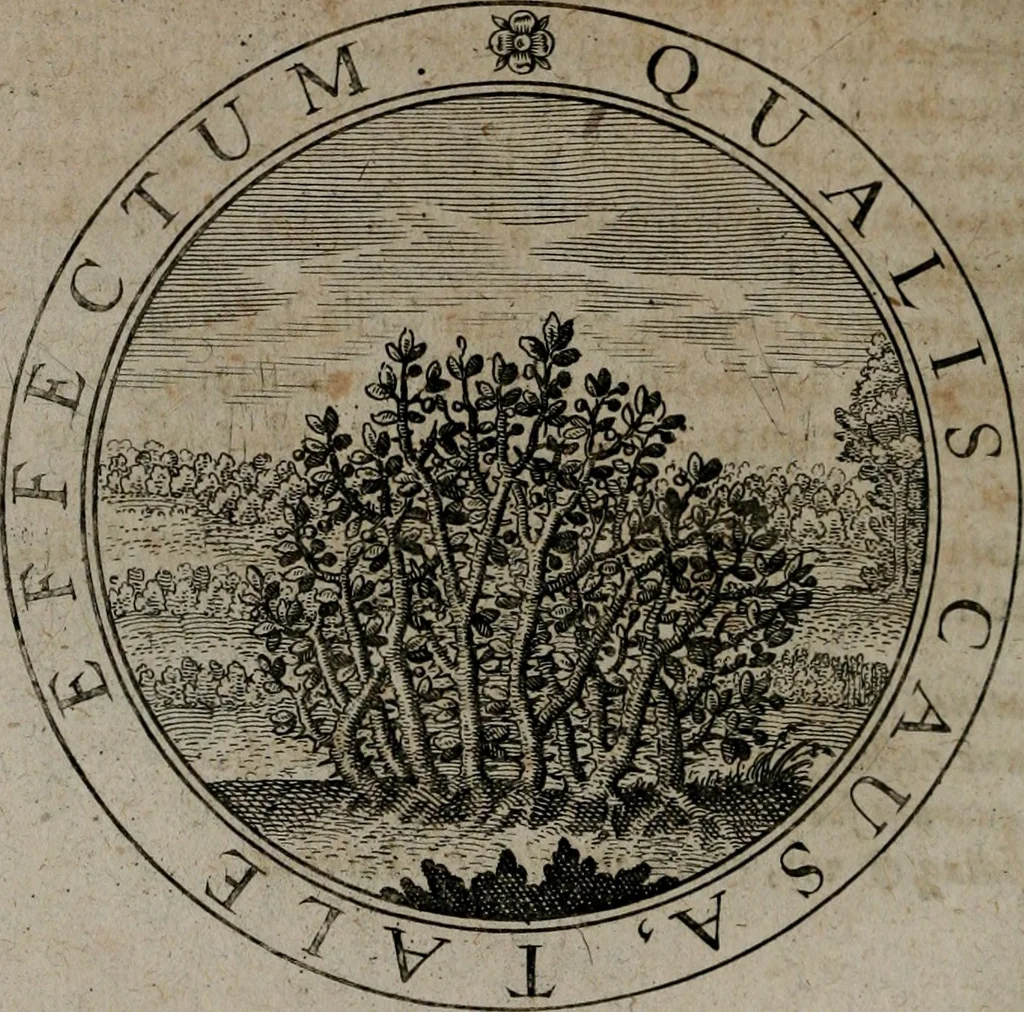 An illustration from Jacobi Bornitii emblemata ethico politica : ingenuâ atque eruditâ interpretatione nunc primùm illustrata / per M. Nicolaum Meerfeldt..., 1669, leaf 63