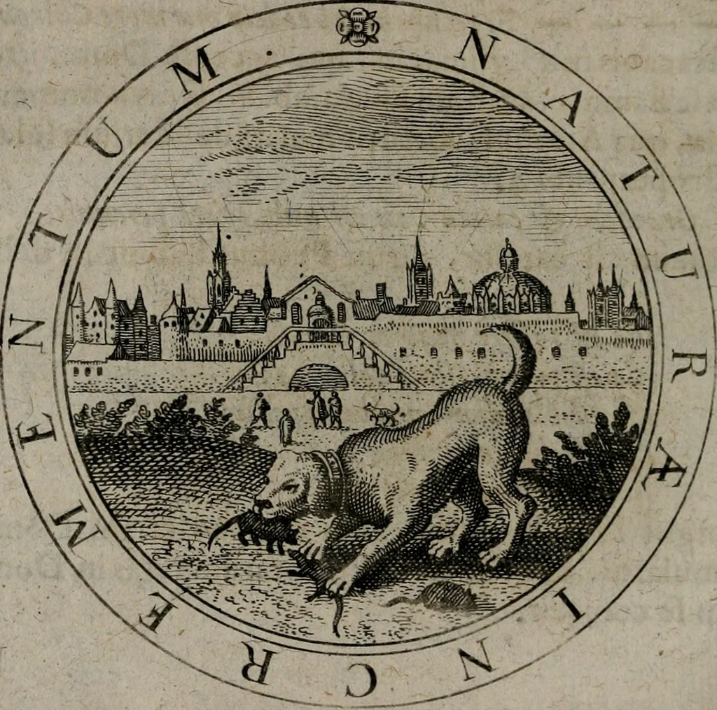 An illustration from Jacobi Bornitii emblemata ethico politica : ingenuâ atque eruditâ interpretatione nunc primùm illustrata / per M. Nicolaum Meerfeldt..., 1669, leaf 77