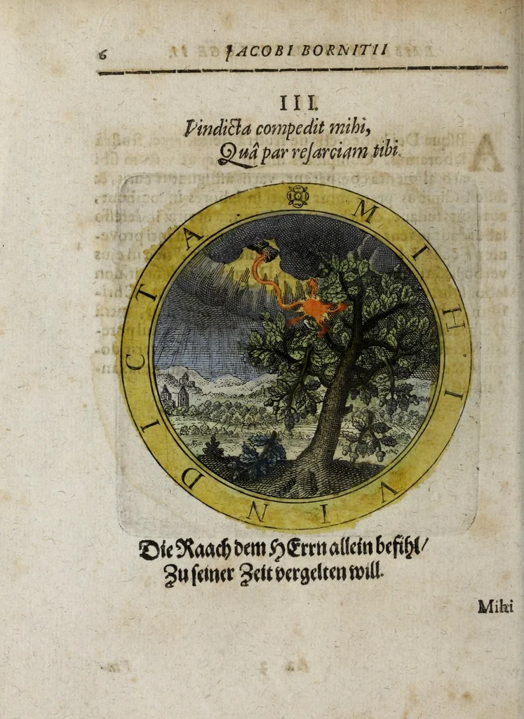An illustration from Jacobi Bornitii Emblemata ethico politica, 1669, leaf 114