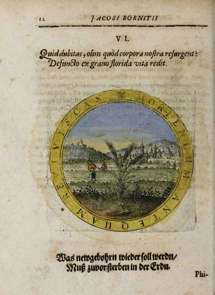 An illustration from Jacobi Bornitii Emblemata ethico politica, 1669, leaf 120