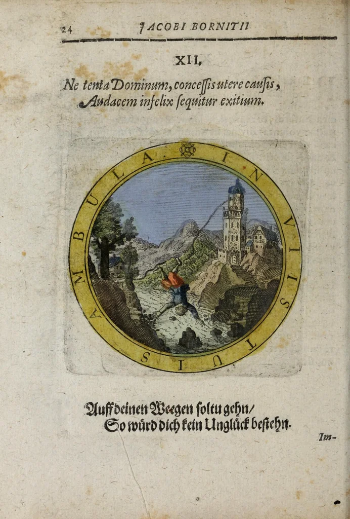 An illustration from Jacobi Bornitii Emblemata ethico politica, 1669, leaf 132