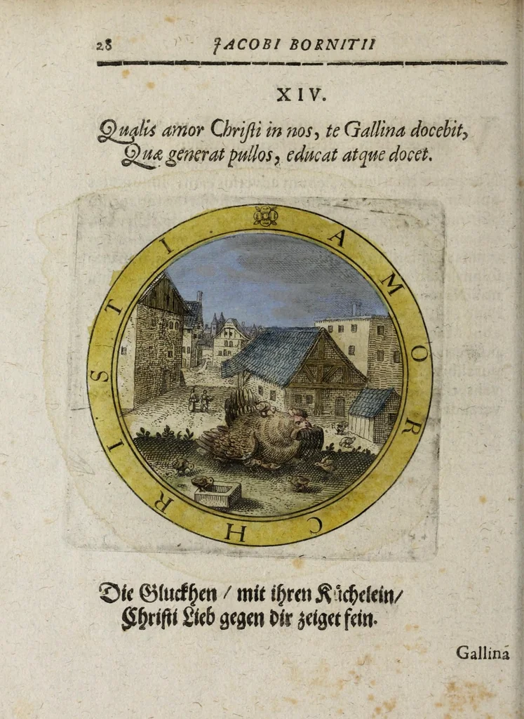 An illustration from Jacobi Bornitii Emblemata ethico politica, 1669, leaf 136