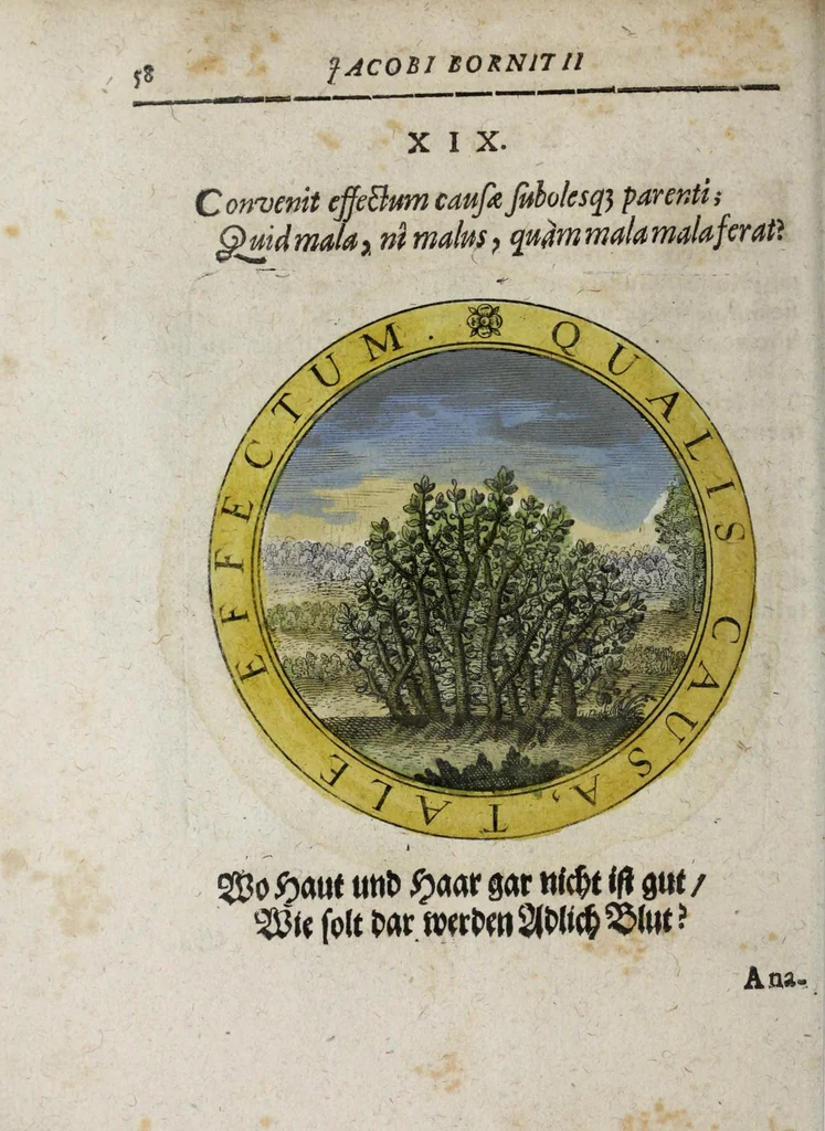An illustration from Jacobi Bornitii Emblemata ethico politica, 1669, leaf 64