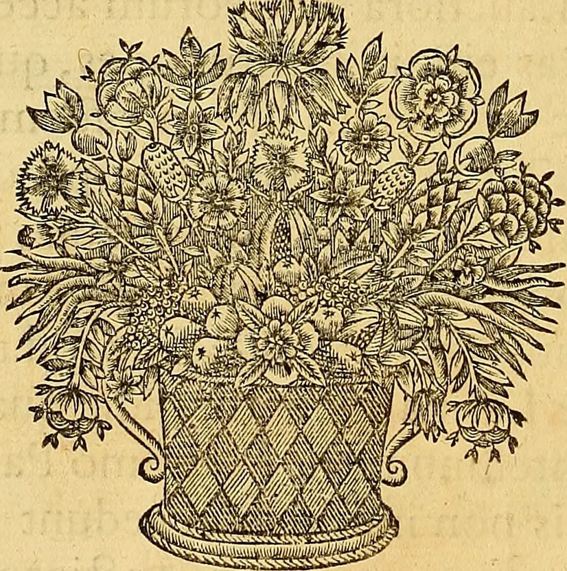 An illustration from Jacobi Cuiacii ic. praestantissimi Opera omnia in decem tomos distributa : quibus continentur tam priora, sive quæ ipse superstes edi curauit; quam posteriora, sive quae post obitum eius edita sunt, vel nunc primum prodeunt, 1658, leaf 15